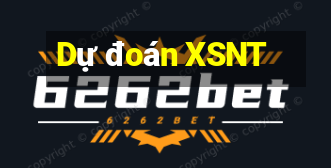 Dự đoán XSNT