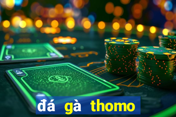 đá gà thomo trận 34 hôm nay