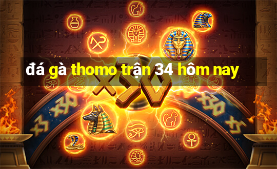 đá gà thomo trận 34 hôm nay