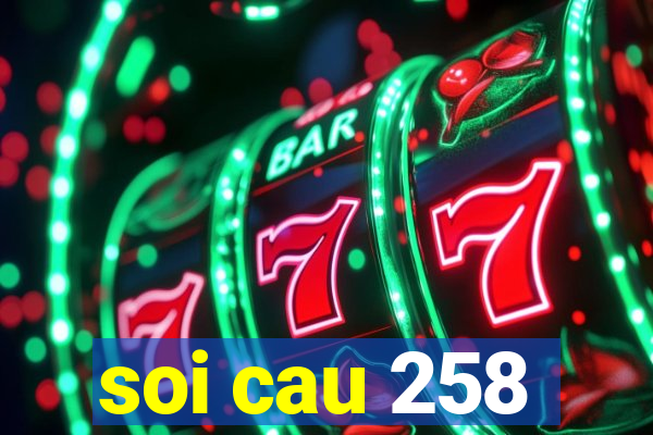 soi cau 258