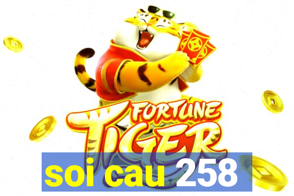 soi cau 258