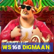 WS168 DIGMAAN