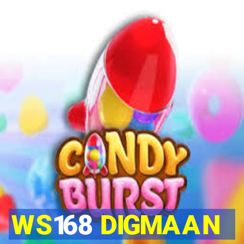 WS168 DIGMAAN