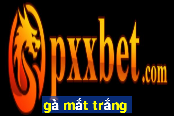 gà mắt trắng