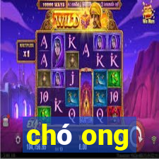 chó ong