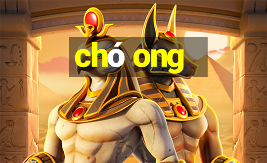 chó ong