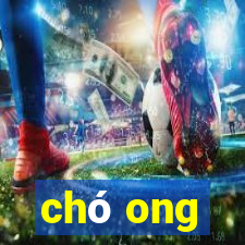 chó ong