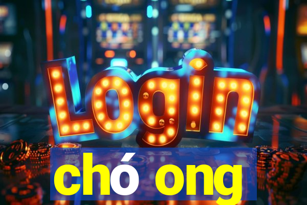 chó ong