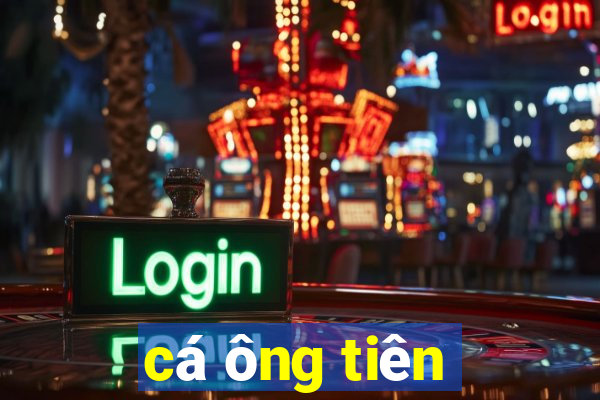 cá ông tiên