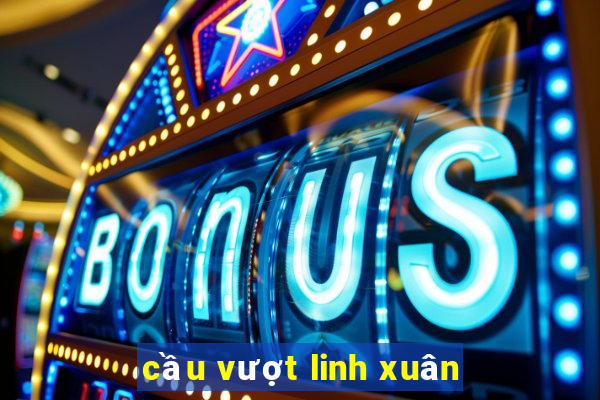 cầu vượt linh xuân