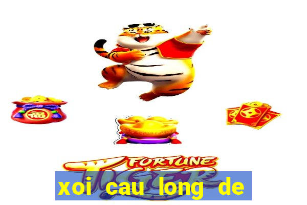 xoi cau long de mien bac