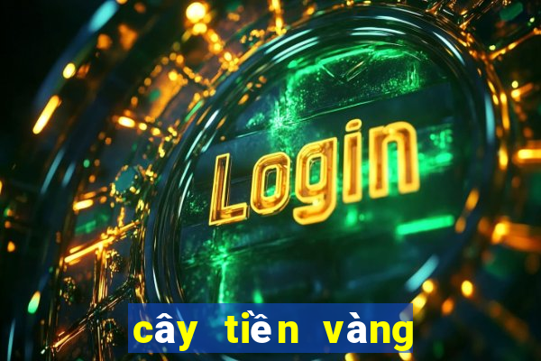 cây tiền vàng bắn cá