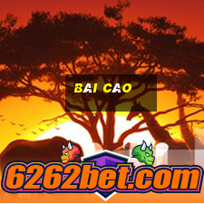 bài cào