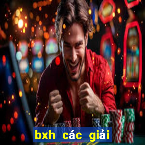 bxh các giải vô địch quốc gia châu âu