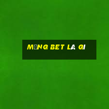 mảng bet là gì