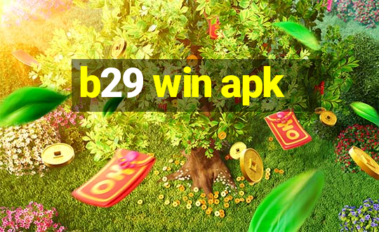 b29 win apk