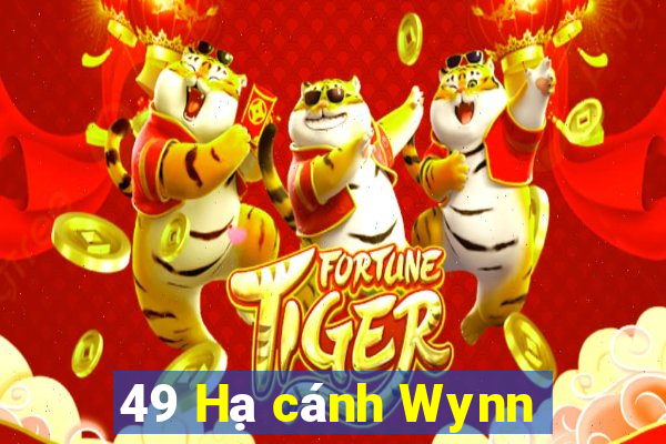 49 Hạ cánh Wynn