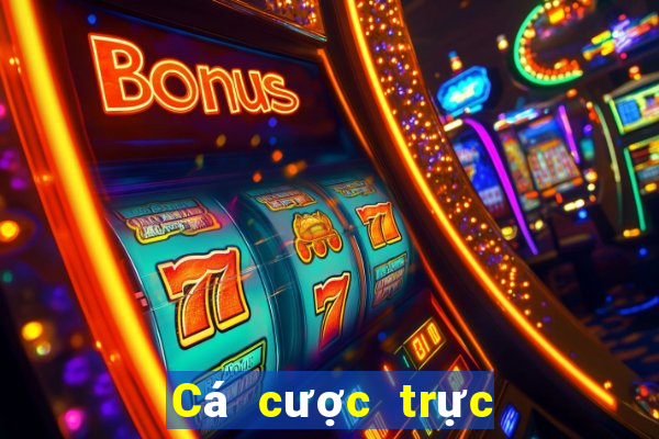 Cá cược trực tuyến 12bet