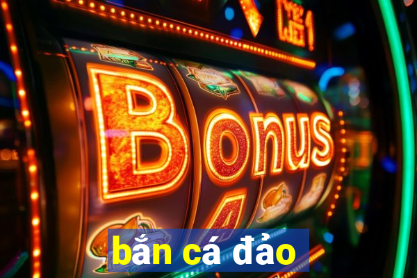 bắn cá đảo