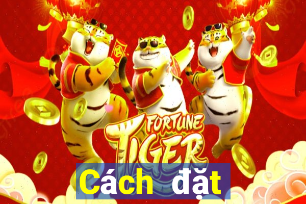 Cách đặt cược XSTT4 ngày 12