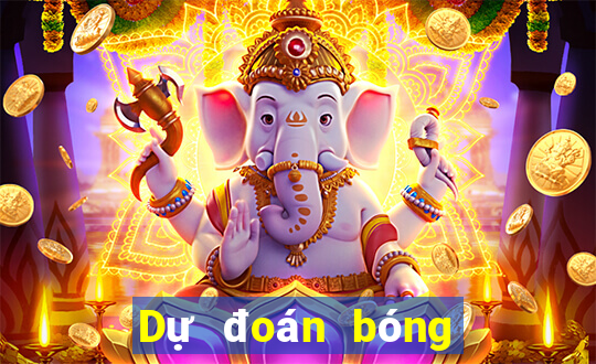 Dự đoán bóng rổ hôm nay