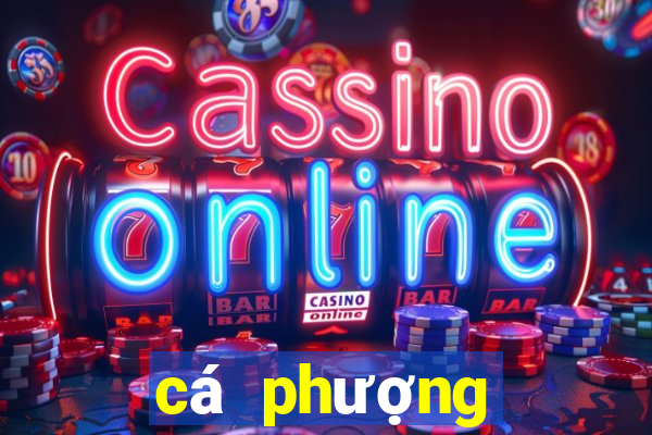 cá phượng hoàng vàng