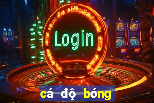 cá độ bóng đá ben88