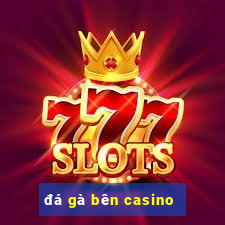 đá gà bên casino