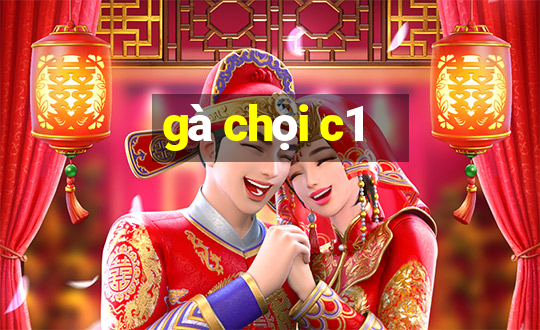 gà chọi c1