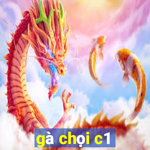 gà chọi c1