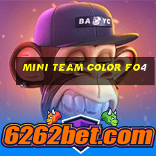 mini team color fo4