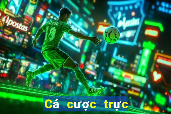 Cá cược trực tuyến typhu88