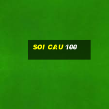 soi cau 100