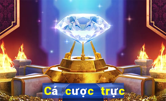 Cá cược trực tuyến BK8