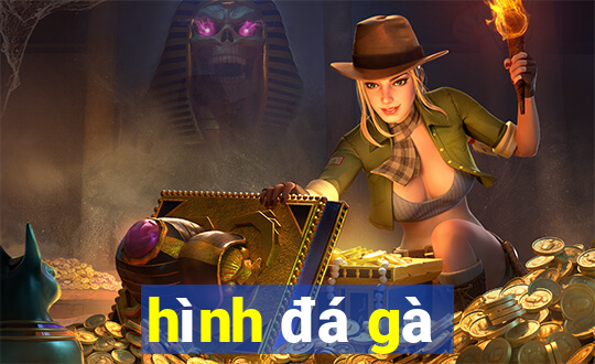 hình đá gà