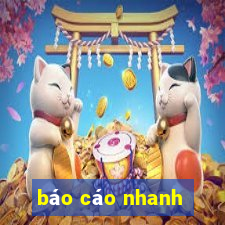 báo cáo nhanh