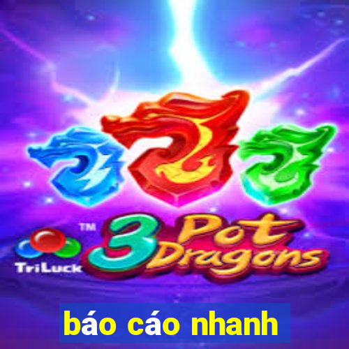 báo cáo nhanh