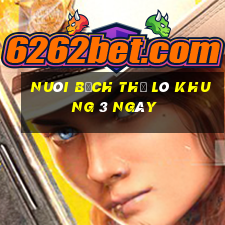 nuôi bạch thủ lô khung 3 ngày