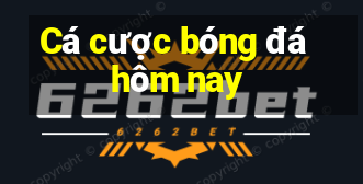 Cá cược bóng đá hôm nay