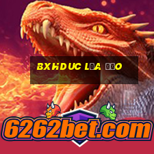 Bxhduc Lừa Đảo