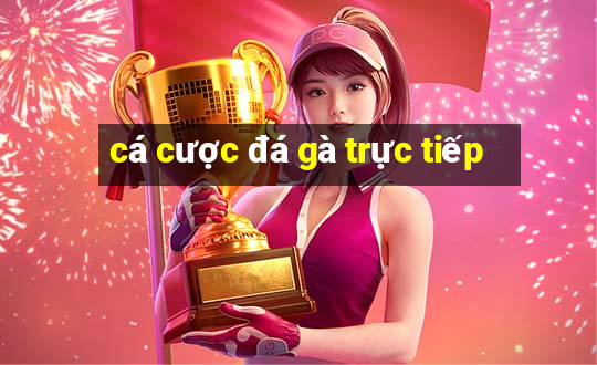 cá cược đá gà trực tiếp