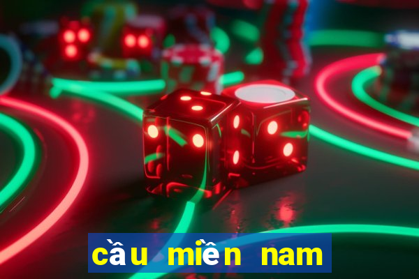 cầu miền nam hôm nay