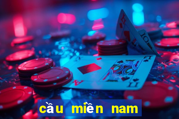 cầu miền nam hôm nay