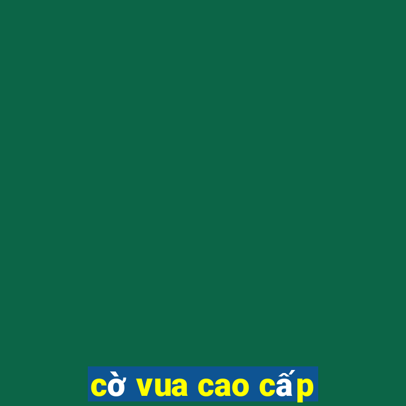 cờ vua cao cấp